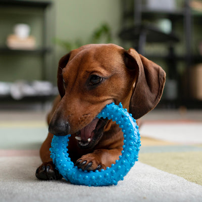 Fetch Toys