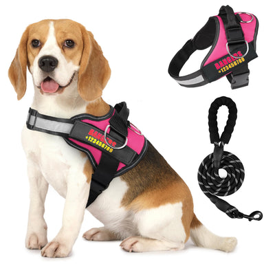 SlOk™ Personalized Medium Dog Harness
